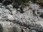 20060908_090538 - samaria gorge.jpg