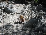 20060908_090641 - samaria gorge.jpg