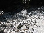 20060908_090748 - samaria gorge.jpg
