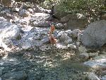 20060908_091422 - samaria gorge.jpg