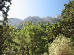 20060908_093541 - samaria gorge.jpg