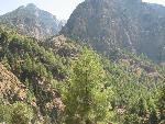 20060908_102726 - samaria gorge.jpg