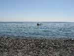 20060908_133734 - aghia roumeli.jpg