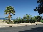 20060909_142356 - retymnon.jpg