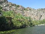 20060910_111559 - preveli - palm beach.jpg