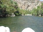 20060910_111617 - preveli - palm beach.jpg