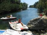 20060910_112237 - preveli - palm beach.jpg