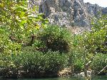 20060910_112851 - preveli - palm beach.jpg