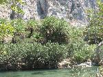 20060910_113015 - preveli - palm beach.jpg