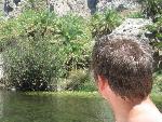 20060910_113331 - preveli - palm beach.jpg