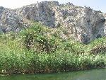 20060910_113636 - preveli - palm beach.jpg