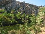 20060910_125144 - preveli - palm beach.jpg