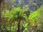 20060910_125739 - preveli - palm beach.jpg
