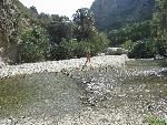 20060910_131043 - preveli - palm beach.jpg
