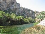 20060910_132314 - preveli - palm beach.jpg