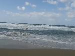 20060911_141304 - retymnon.jpg