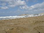 20060911_142428 - retymnon.jpg