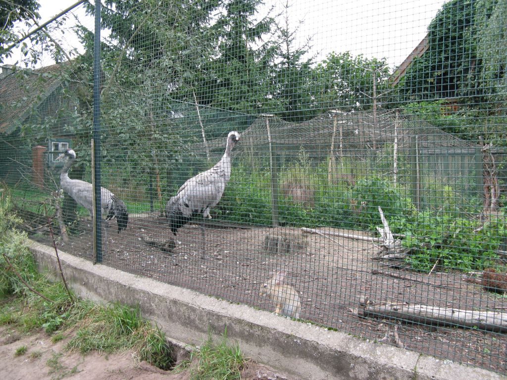 20080815170451_032.jpg, galeria mierki-kolatek_ruciane