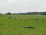 20080815165048_026.jpg