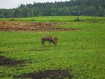 20080815165100_012.jpg