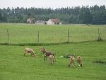 20080815165127_027.jpg
