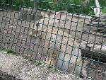 20080815170536_034.jpg