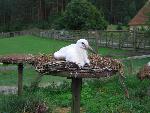 20080815170831_023.jpg