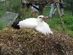 20080815170905_039.jpg