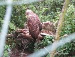 20080815171249_041.jpg