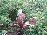 20080815171333_044.jpg