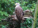 20080815171341_033.jpg