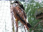 20080815171434_037.jpg