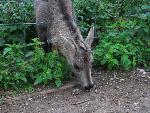 20080815172105_046.jpg