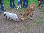 20080815172241_050.jpg