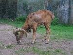 20080815172411_053.jpg