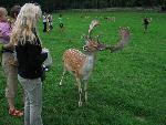 20080815172843_061.jpg