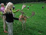 20080815172847_062.jpg