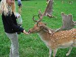 20080815172924_063.jpg