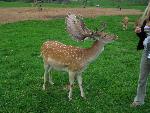 20080815173033_065.jpg