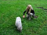 20080815173429_066.jpg