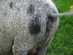 20080815173907_067.jpg