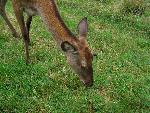 20080815173947_071.jpg