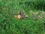 20080815174210_072.jpg