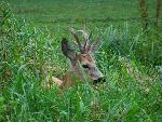 20080815174226_074.jpg