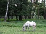 20080815174346_064.jpg