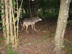 20080815174456_075.jpg