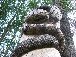 20080815183228_074.jpg