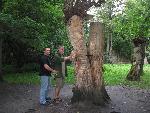20080815183303_076.jpg