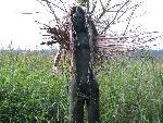 20080815183727_090.jpg
