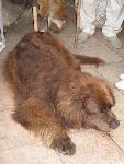 20080815185729_106.jpg